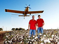 Newsom Farm Cotton Crop and Crop Dusters 2011