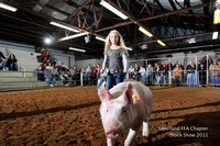 Levelland FFA Chapter and County Livestock Show 2011
